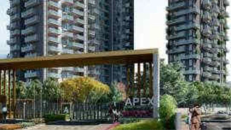 Apex Rio Img2