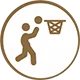 basket court